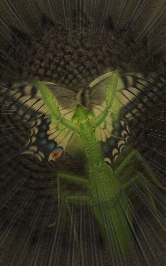 page062 chapter03-005