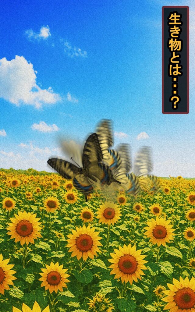 page059 chapter03-002