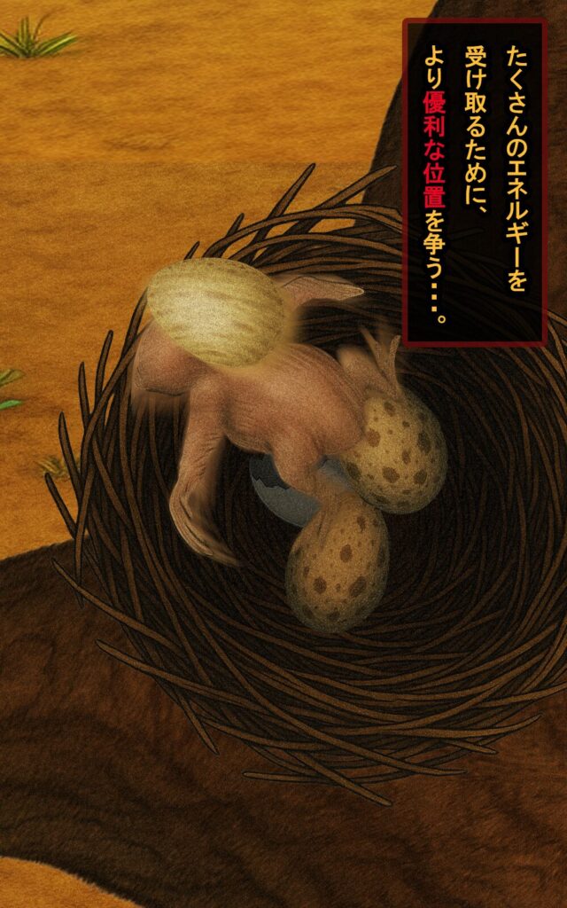 page074 chapter03-017