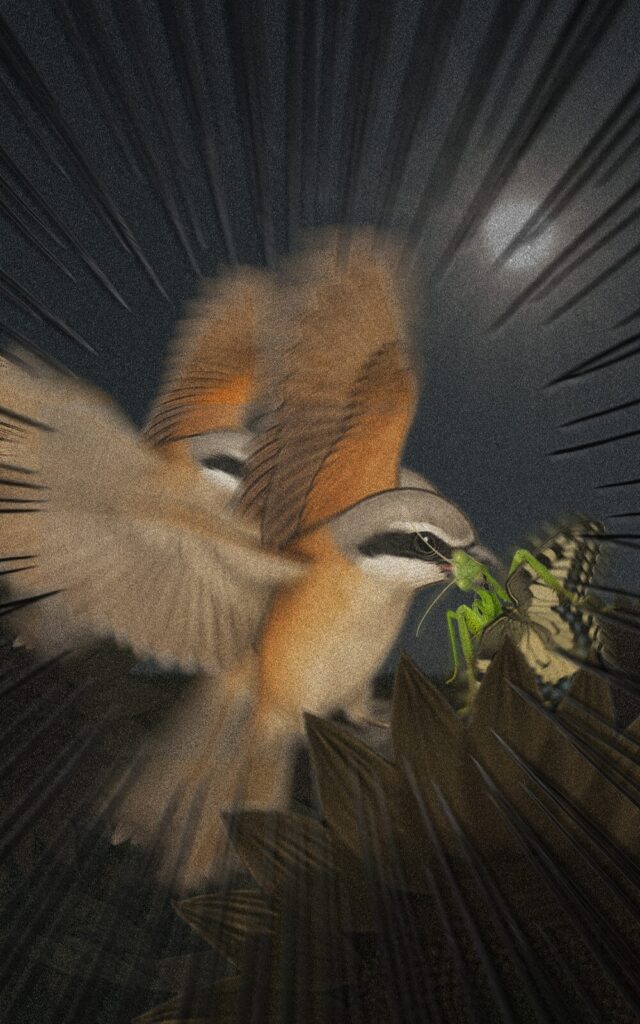 page064 chapter03-007